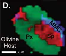 organics in martian magmatic minerals