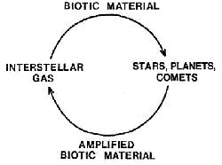 amplification cycle