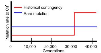 rare, or contingency