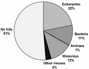 pie-chart