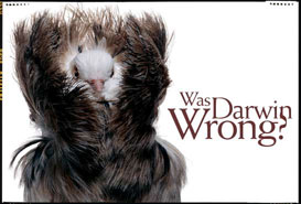 Was Darwin Wrong?