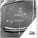 Folds on Europa