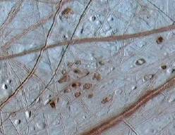 Ruddy Freckles on Europa