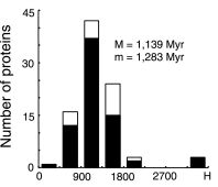 protein divergence times