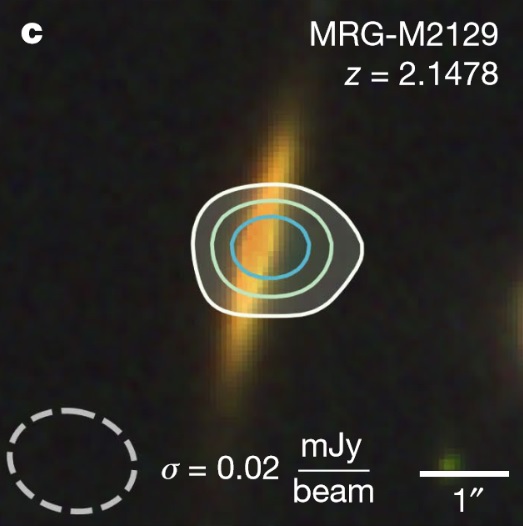 Massive lensed galaxy