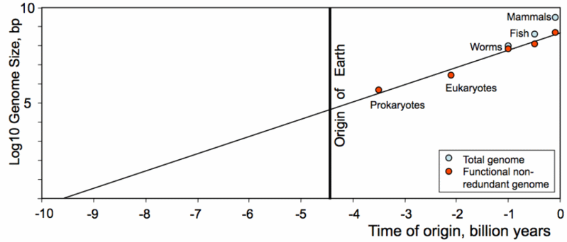 Moore's Law for life