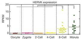 HERVK expression