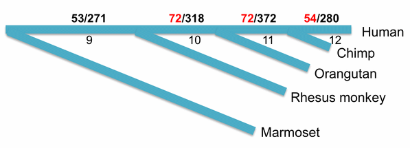 New genes up-regulated in PFC...