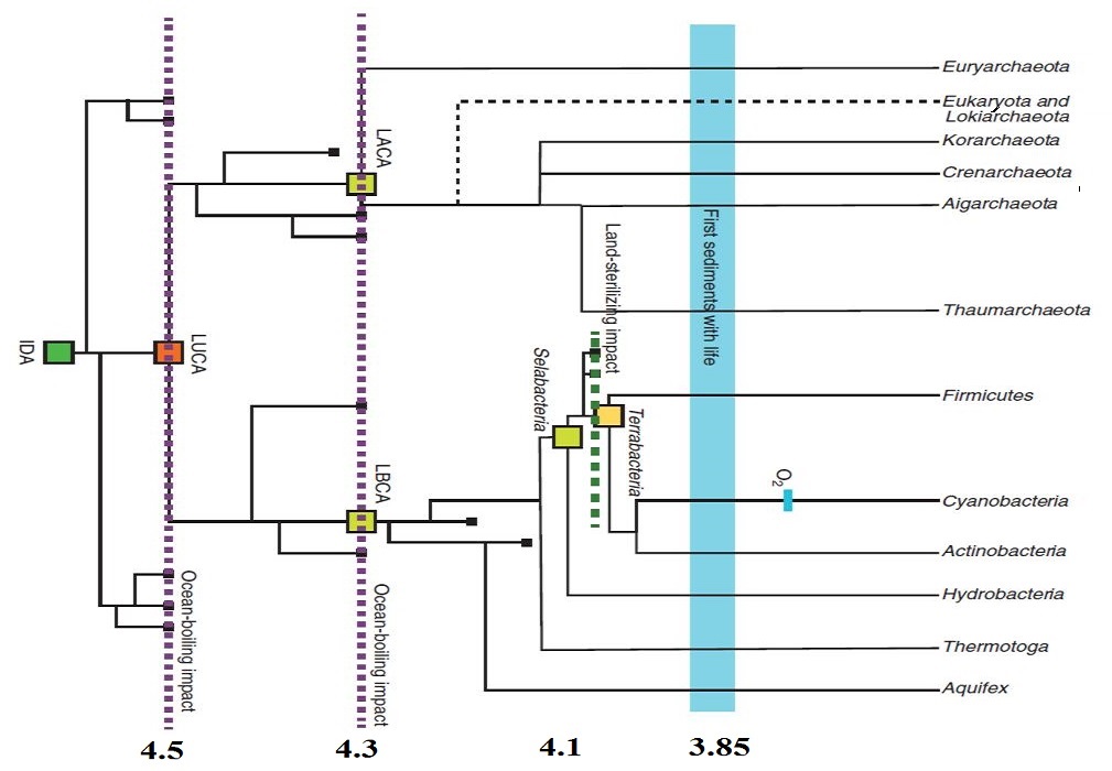 Notational tree of life illustrates bottlenecks from catastrophes