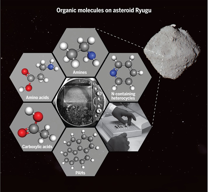 Organics on Ryugu