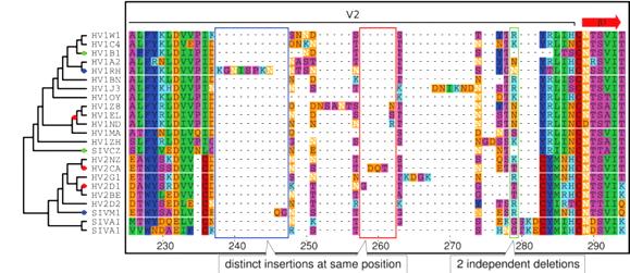 phylogeny-aware analysis