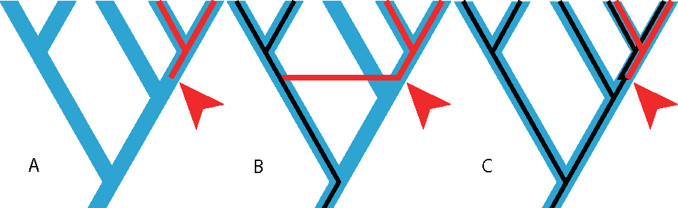 Three mechanisms of gene family emergence