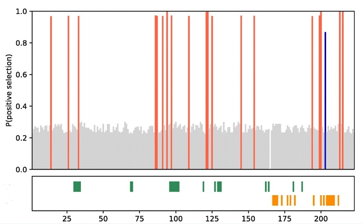 Graph from van Kruistum et al.