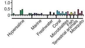 viral metagenomes